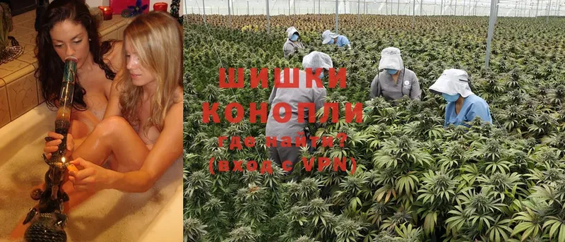 Канабис OG Kush  даркнет сайт  гидра ONION  Венёв 